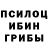 Галлюциногенные грибы мицелий Hasmik Avdalyan