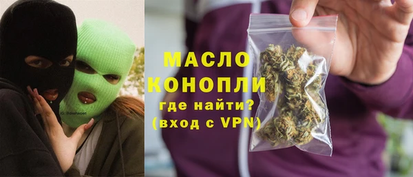 индика Богородск
