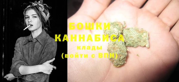 мдпв Богданович