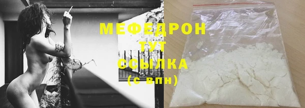 индика Богородск