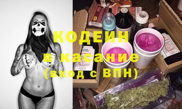 индика Богородск