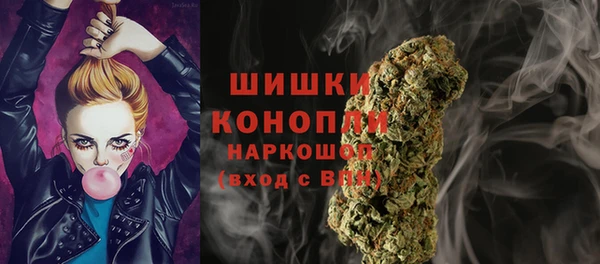 мдпв Богданович