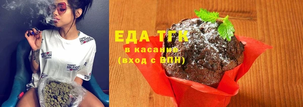 индика Богородск