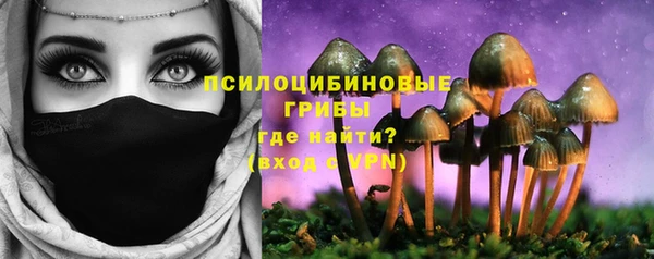 индика Богородск