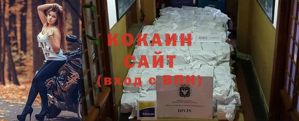 мдпв Богданович