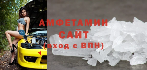 индика Богородск