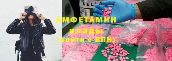 индика Богородск